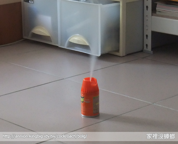 水煙殺蟲劑殺蟑螂