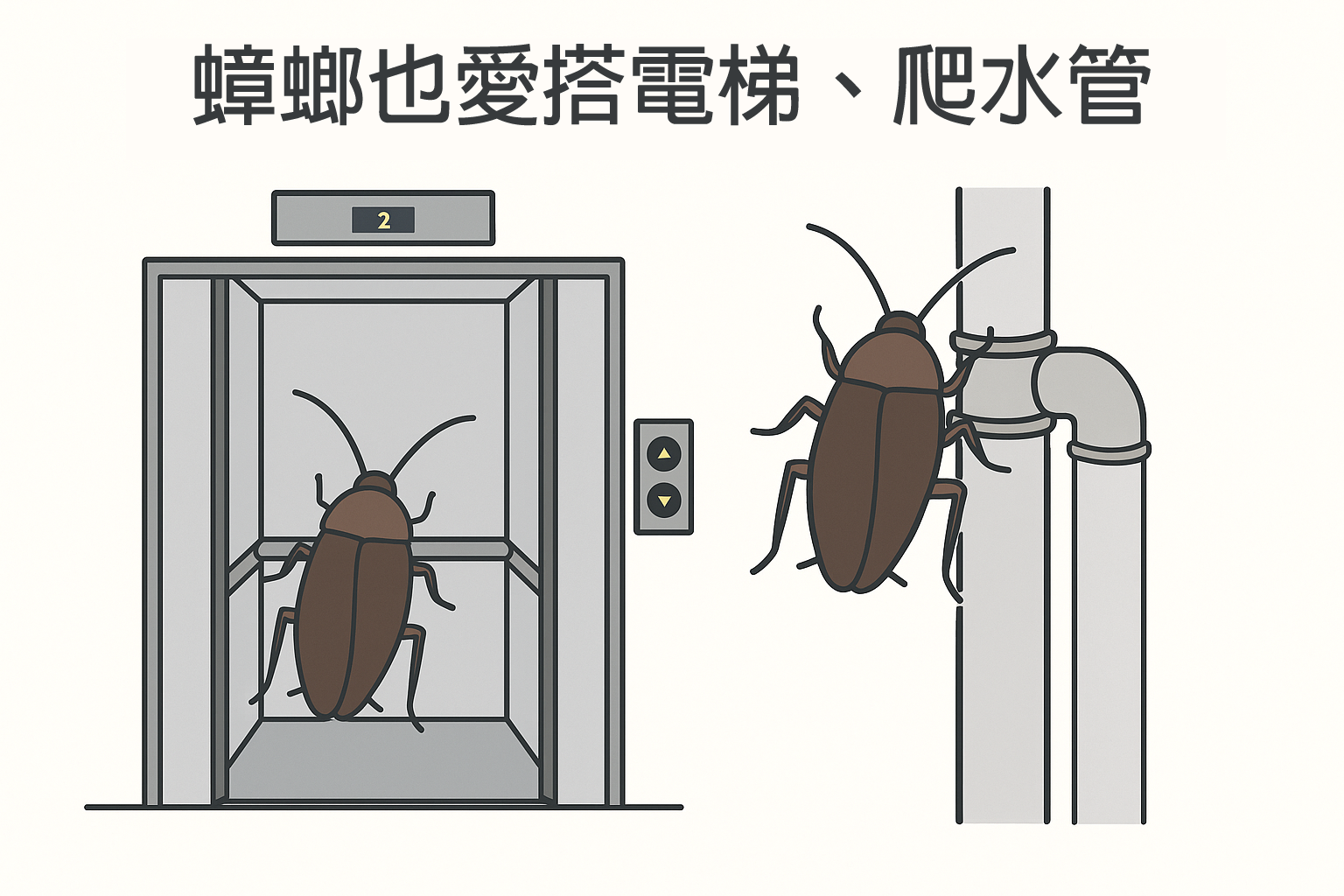 蟑螂怎麼進來的？你沒邀請，但蟑螂總有辦法進來