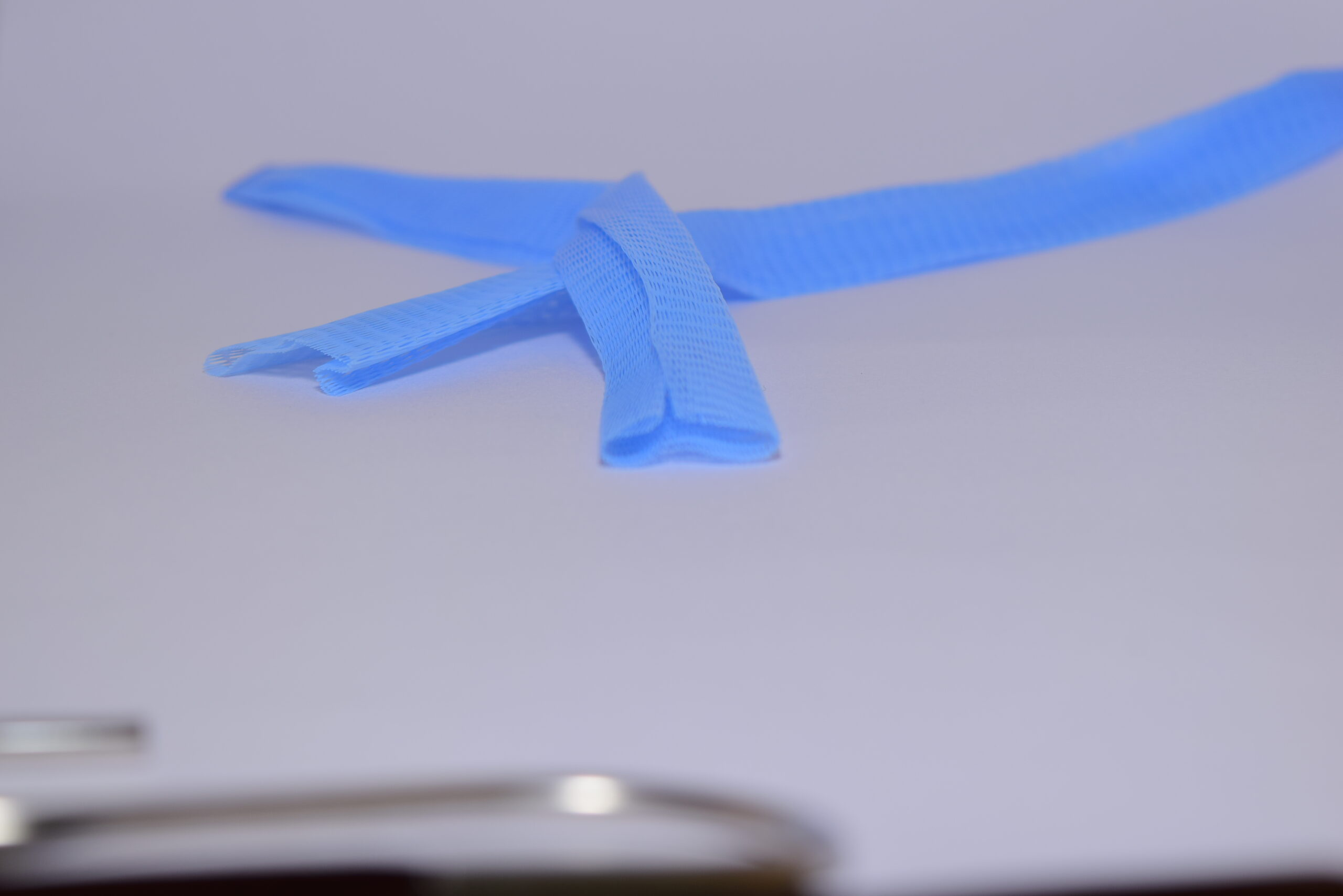 九層塔驅蟑實驗