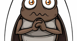 廚房排水口出現蟑螂：居家防蟑五步驟