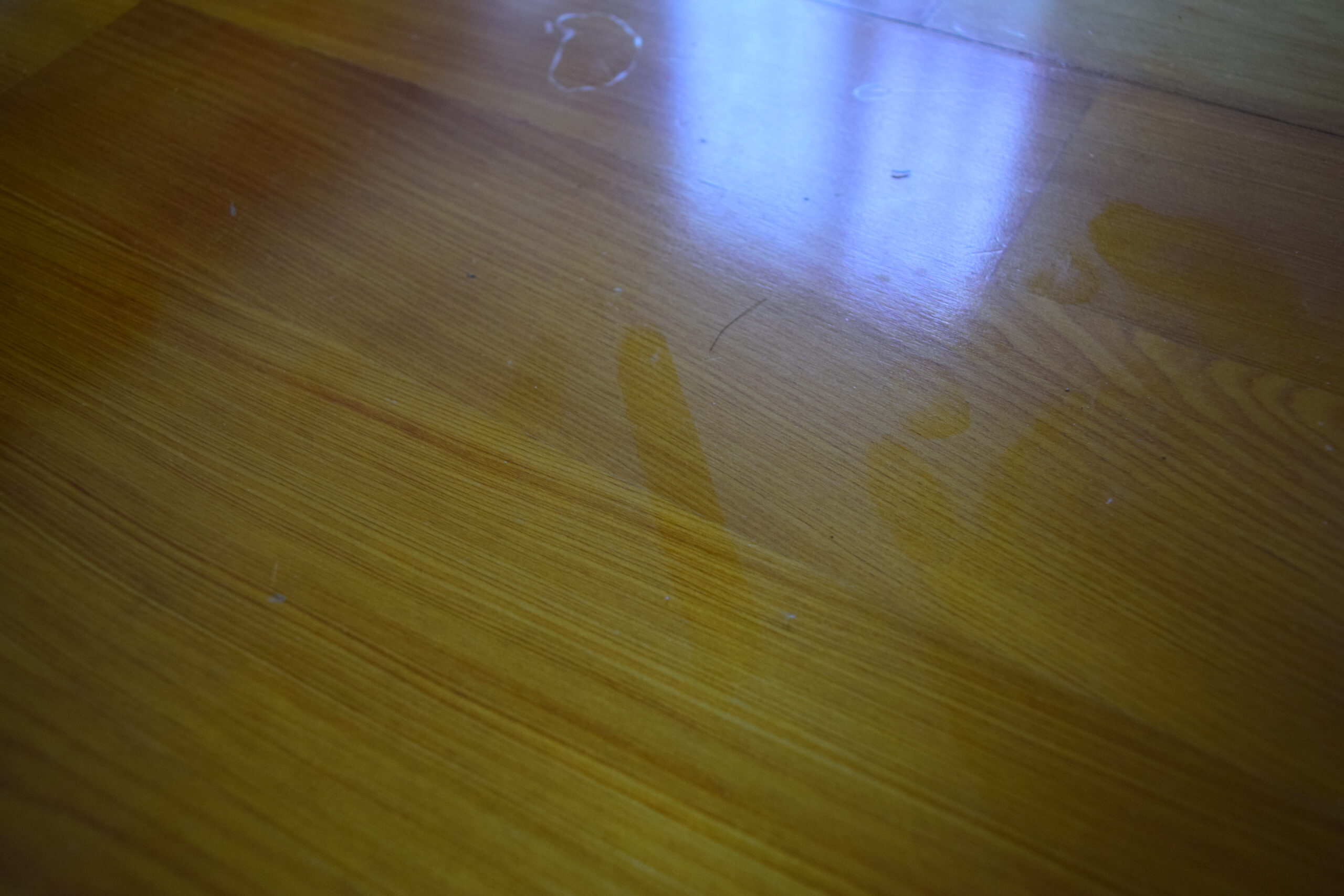 噴效氣霧式水煙殺蟲劑