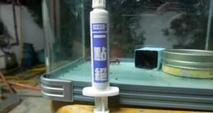 SIEGE 一點絕殺蟑實驗