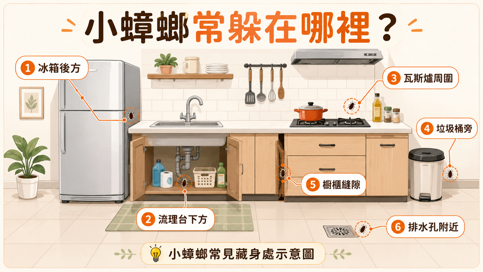 家裡突然出現小蟑螂代表什麼？