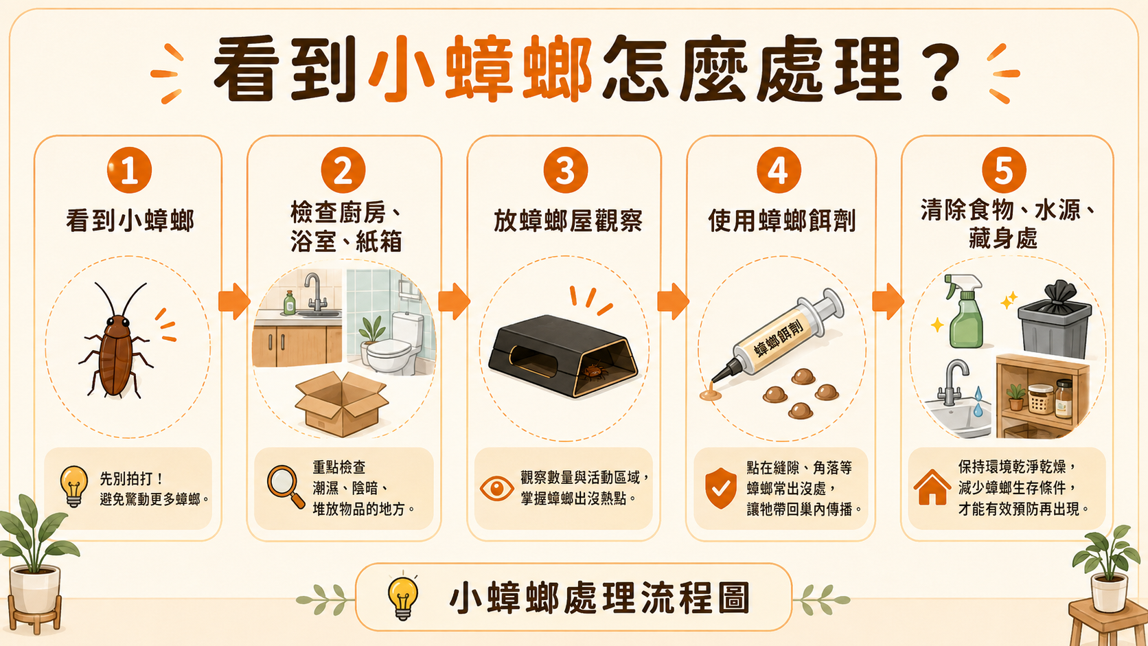 家裡突然出現小蟑螂代表什麼？