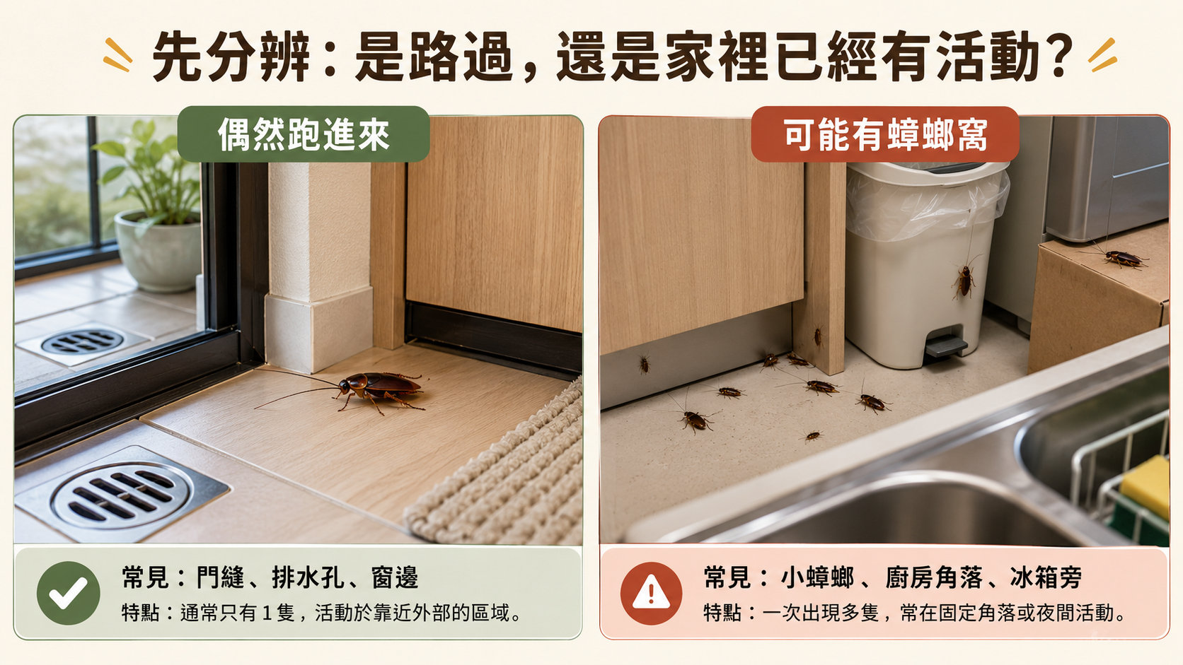 家裡突然出現蟑螂怎麼辦?先別急著亂噴殺蟲劑,這幾件事先做