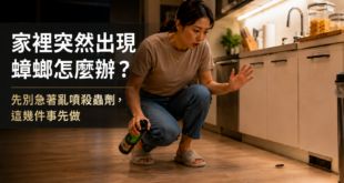 家裡突然出現蟑螂怎麼辦？先別急著亂噴殺蟲劑，這幾件事先做