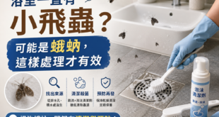 浴室一直有小飛蟲？可能是蛾蚋，這樣處理才有效