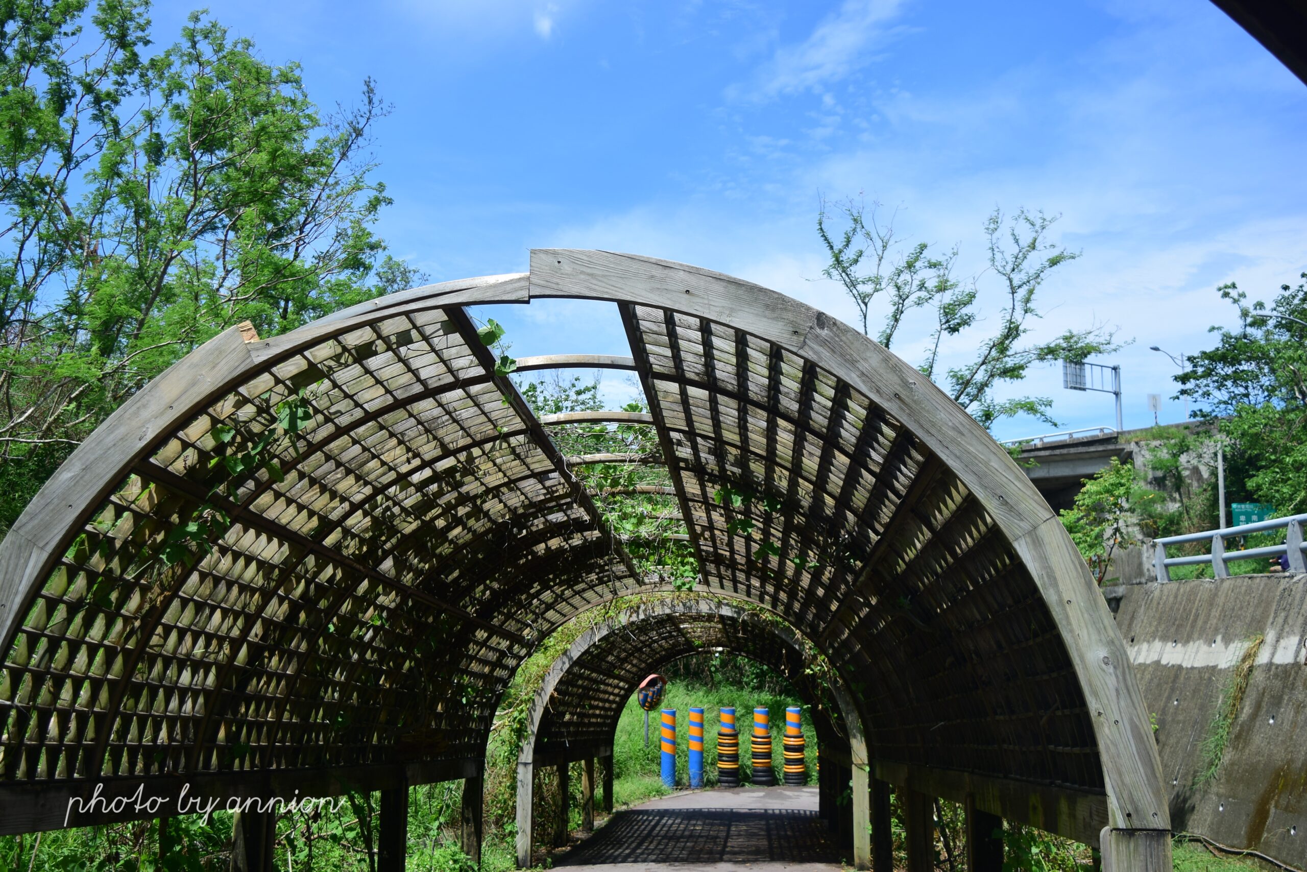 台東景點：台東森林公園自行車遊樂親子旅遊首選