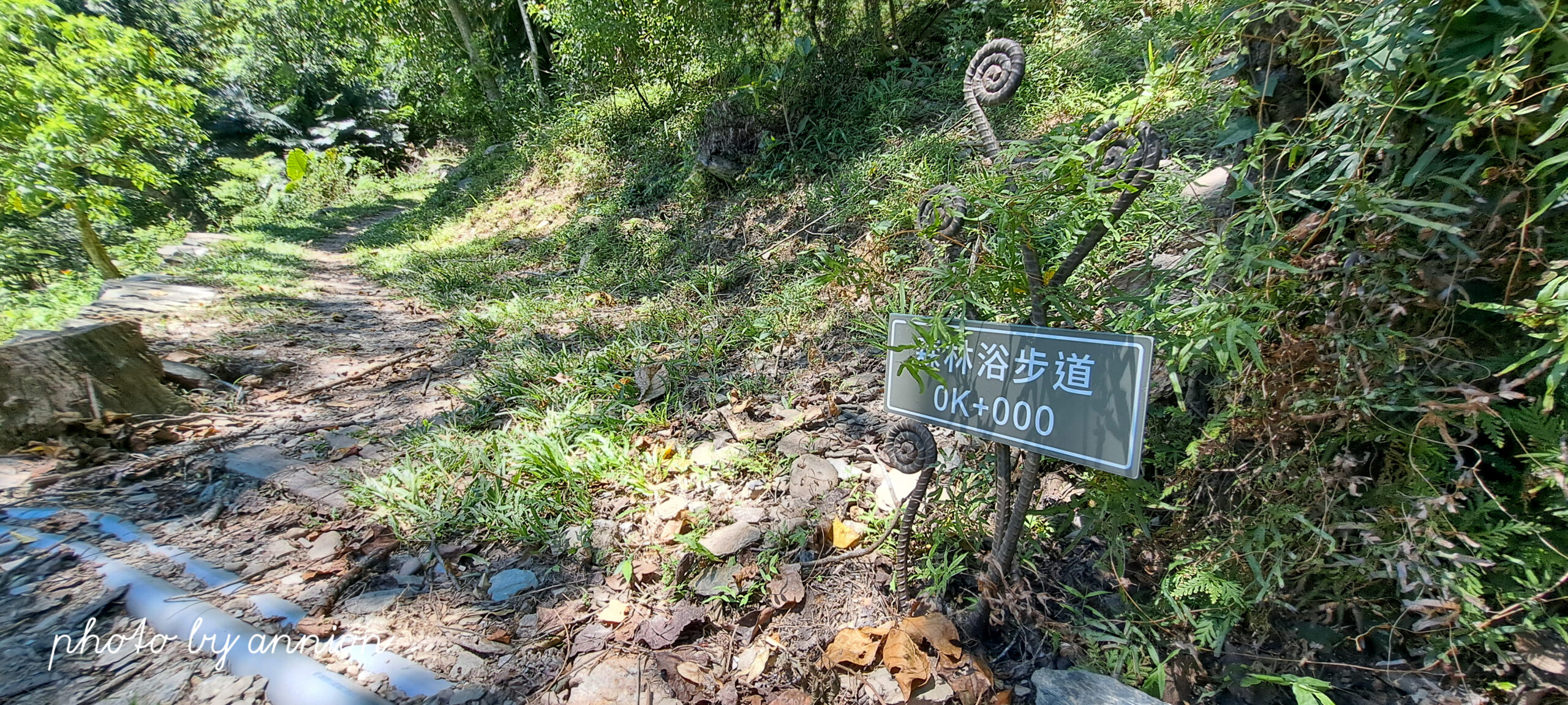 台東景點：知本森林遊樂區