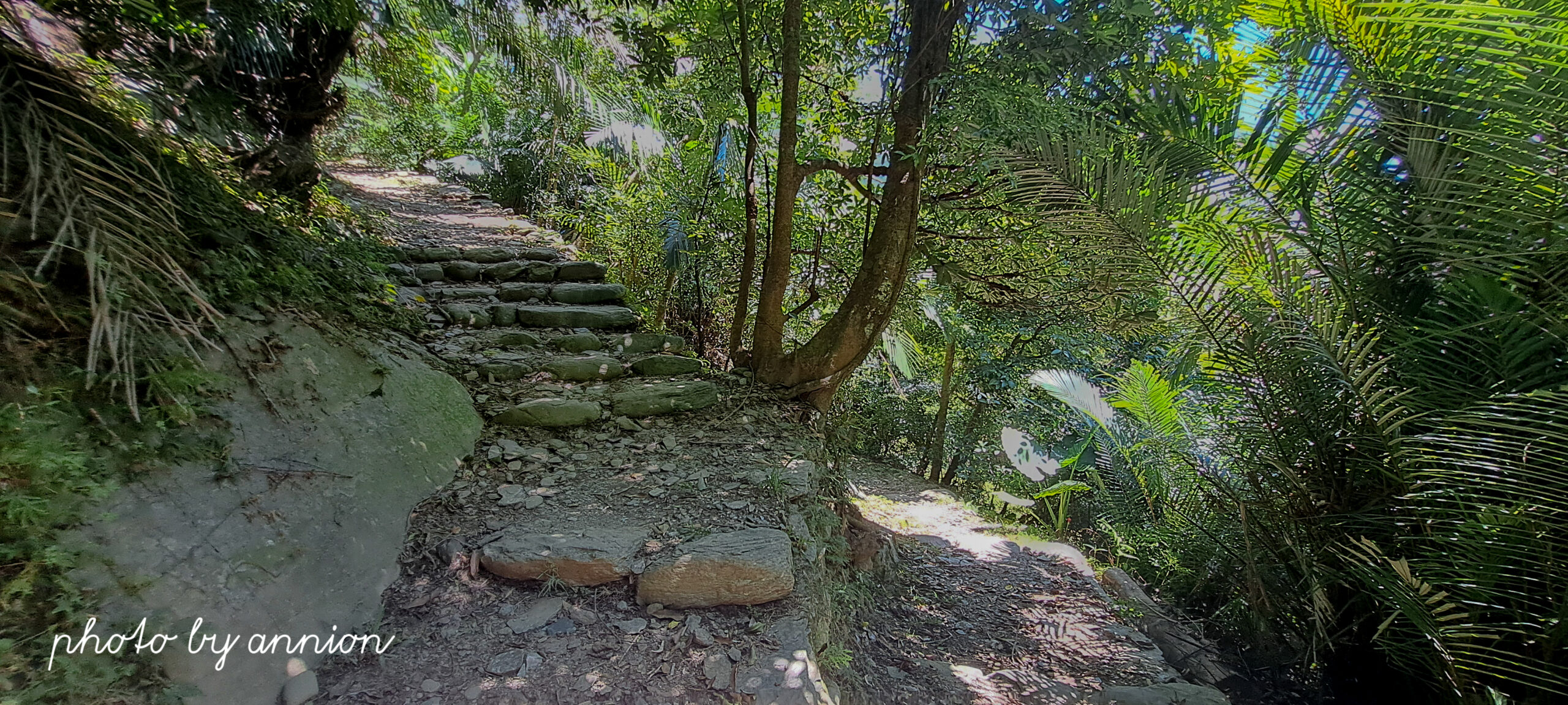 台東景點：知本森林遊樂區