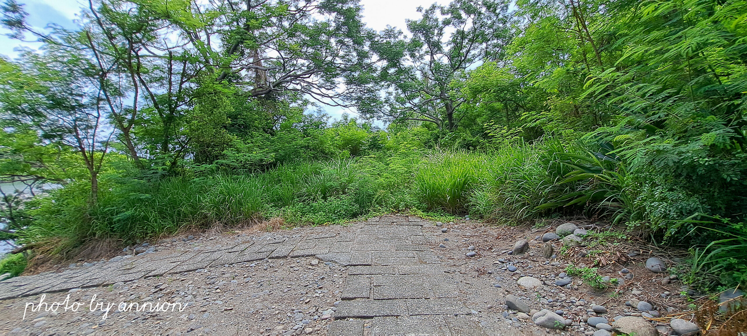 台東景點：東河橋休息區