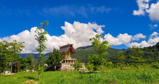 台東景點：鹿野神社日本神社，鳥居與洗手社標誌日式傳統