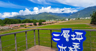 台東景點│二層坪水橋：美不勝收的波斯菊花海風情