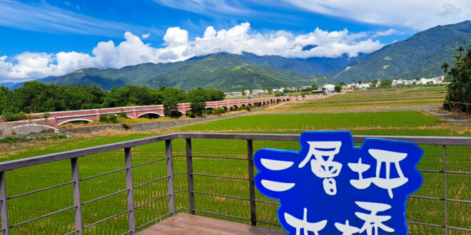 台東景點│二層坪水橋：美不勝收的波斯菊花海風情