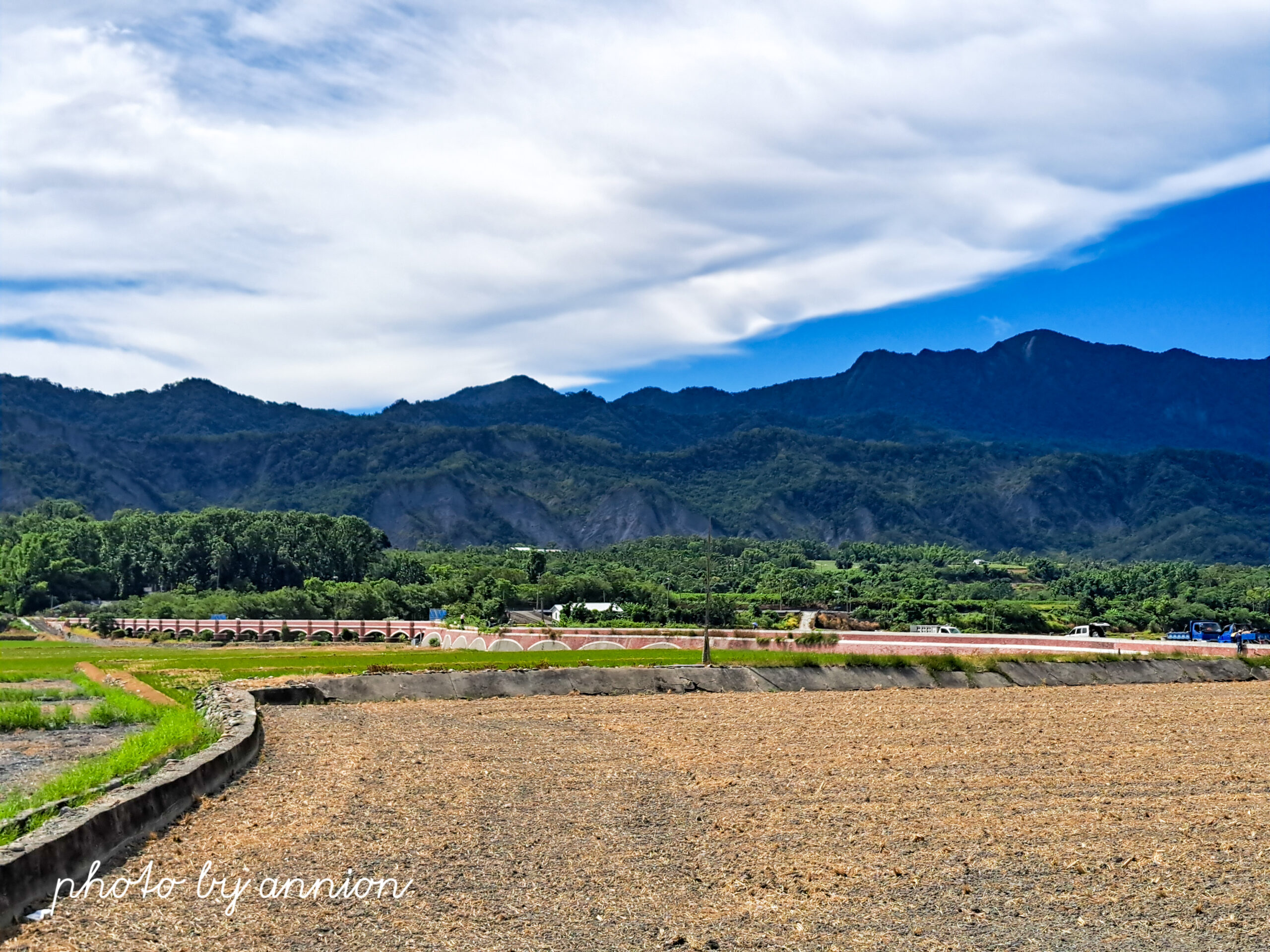 台東景點│二層坪水橋：美不勝收的波斯菊花海風情