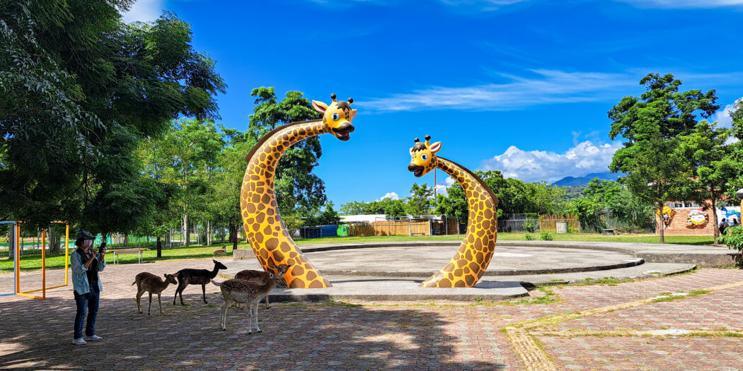 台東鹿野景點：近距離親近梅花鹿，台東親子景點鹿野梅花鹿公園