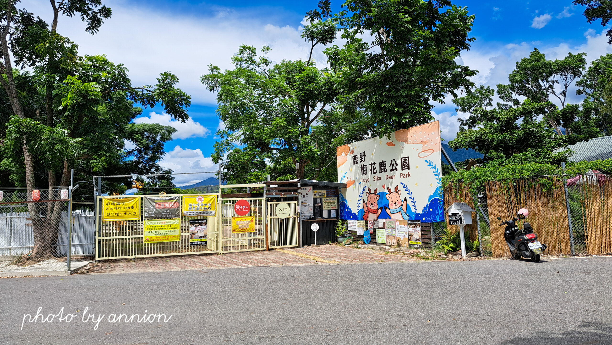 台東鹿野景點：近距離親近梅花鹿，台東親子景點鹿野梅花鹿公園