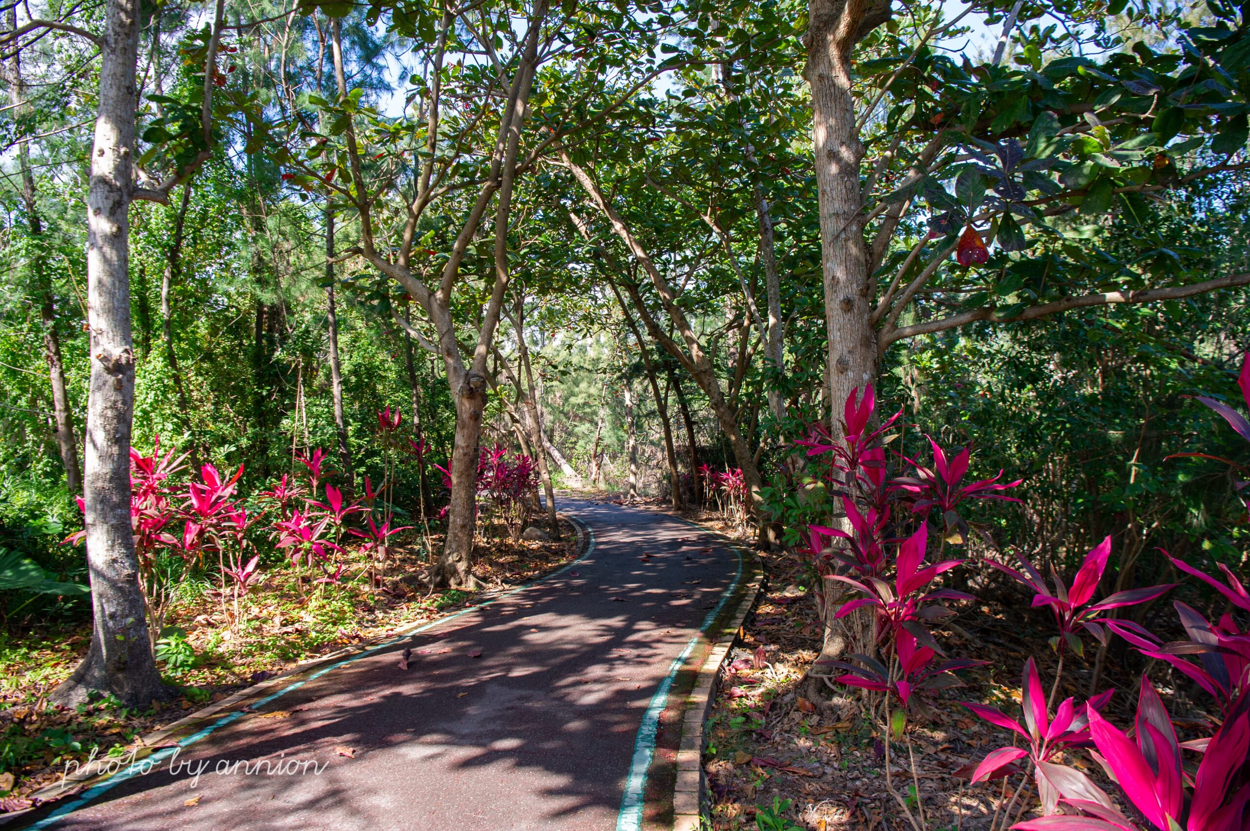 台湾旅行 台東の観光スポット: 台東森林公園はサイクリング、レクリエーション、親子旅行に最適です