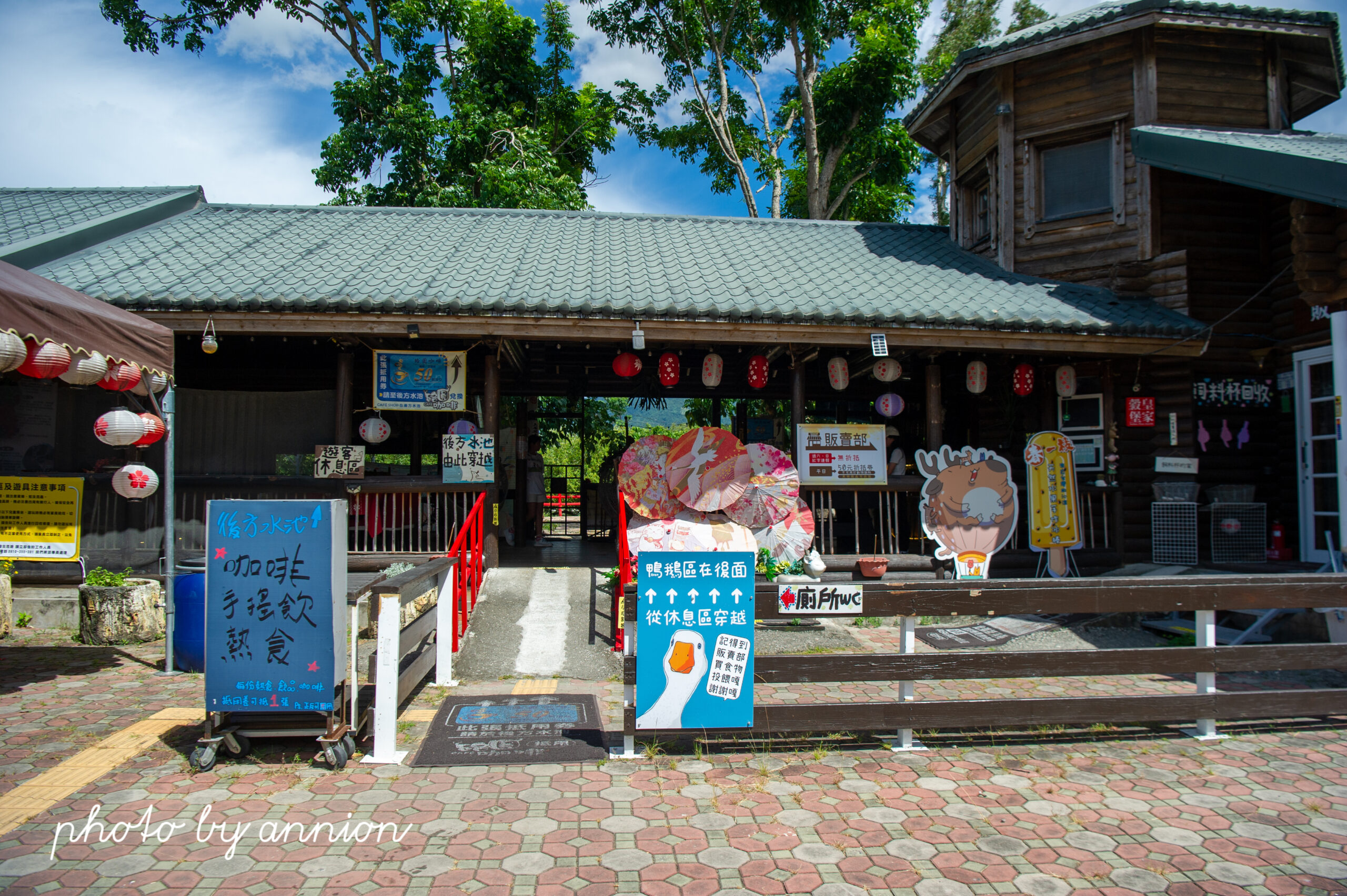 台東鹿野景點：近距離親近梅花鹿，台東親子景點鹿野梅花鹿公園