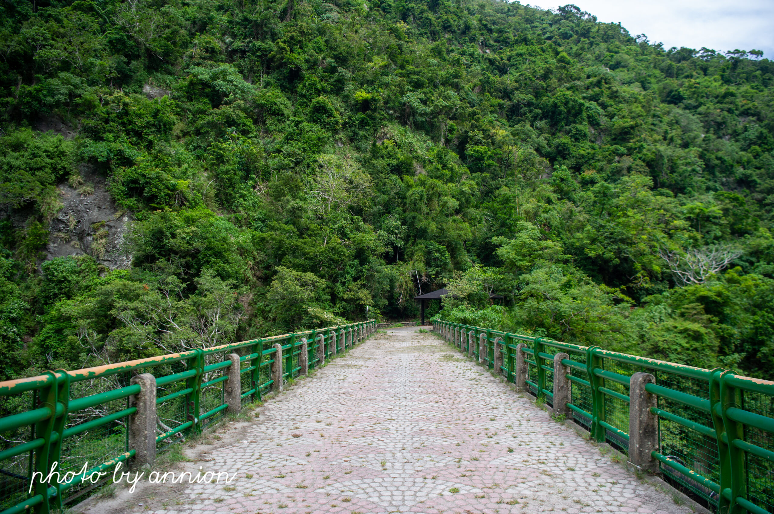 台東景點：登仙橋遊憩區，與獼猴面對面接觸的絕佳機會