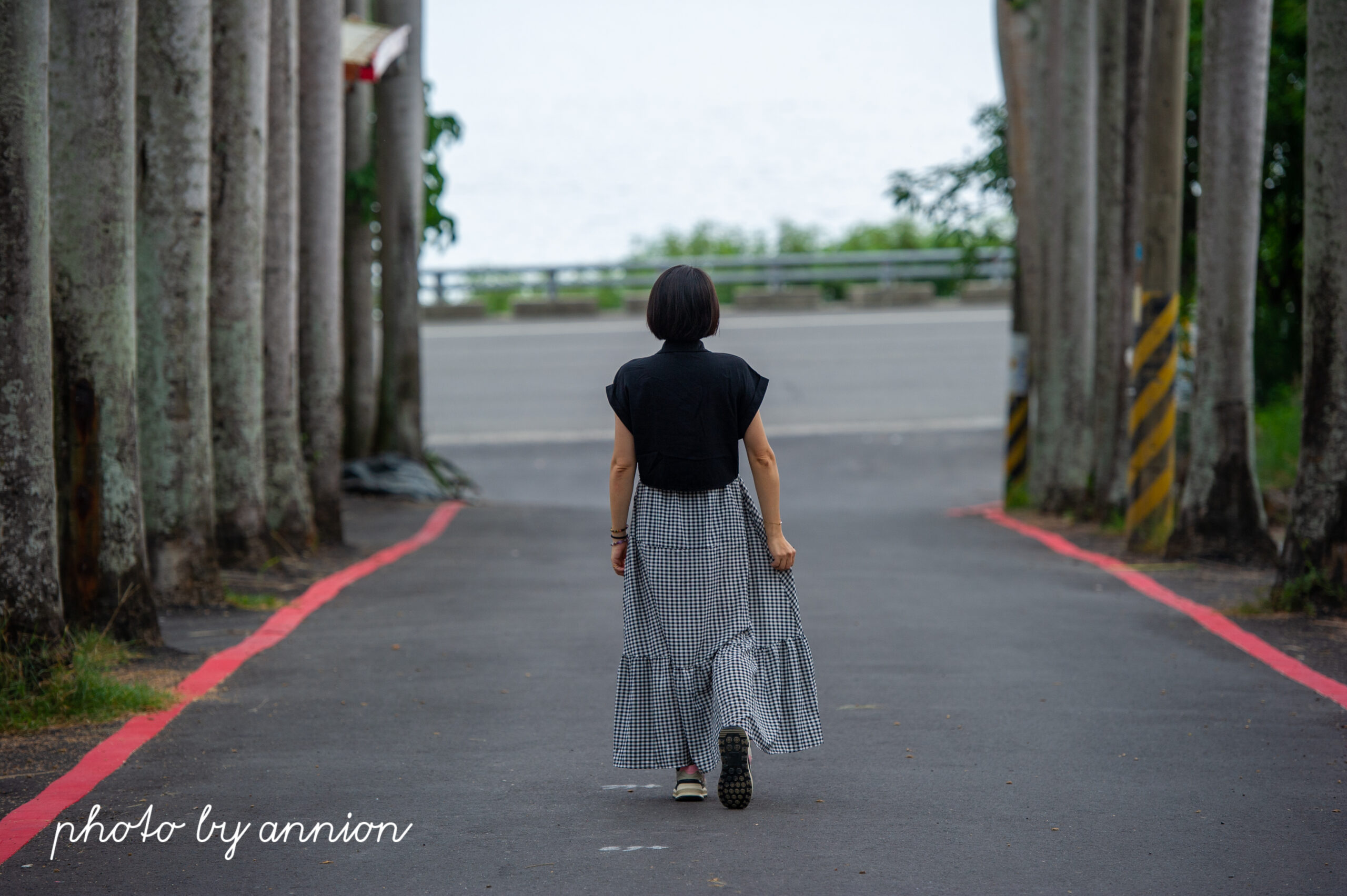 台東景點：華源椰林大道