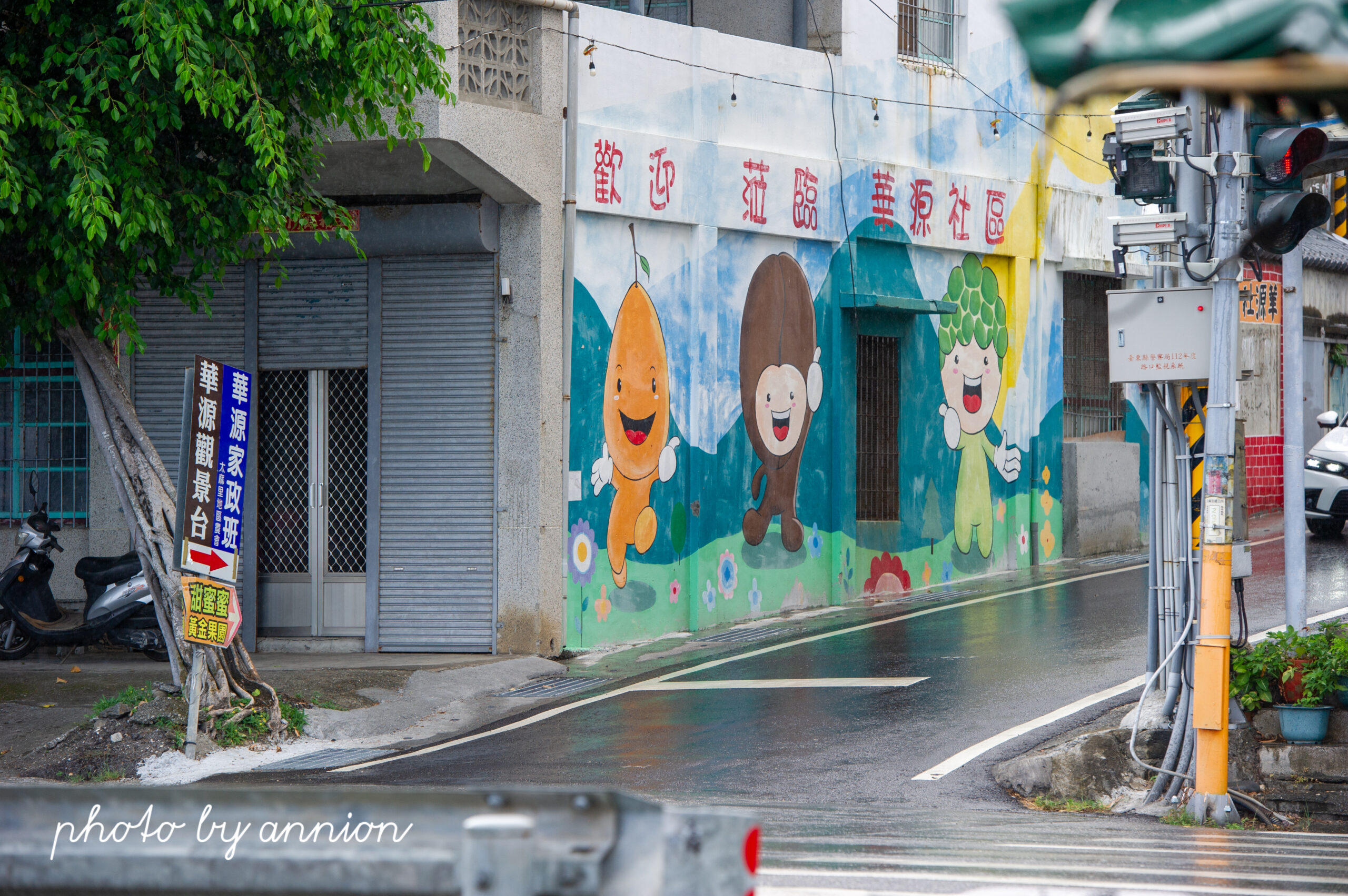 台東景點：華源椰林大道