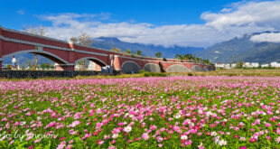 春の台湾：最も快適な気候と豊かな文化体験