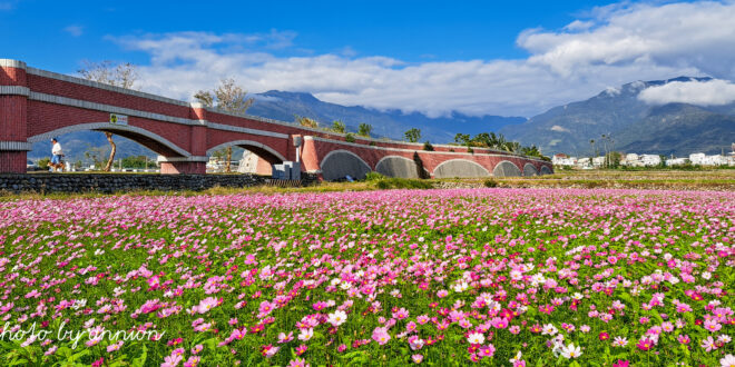 春の台湾：最も快適な気候と豊かな文化体験