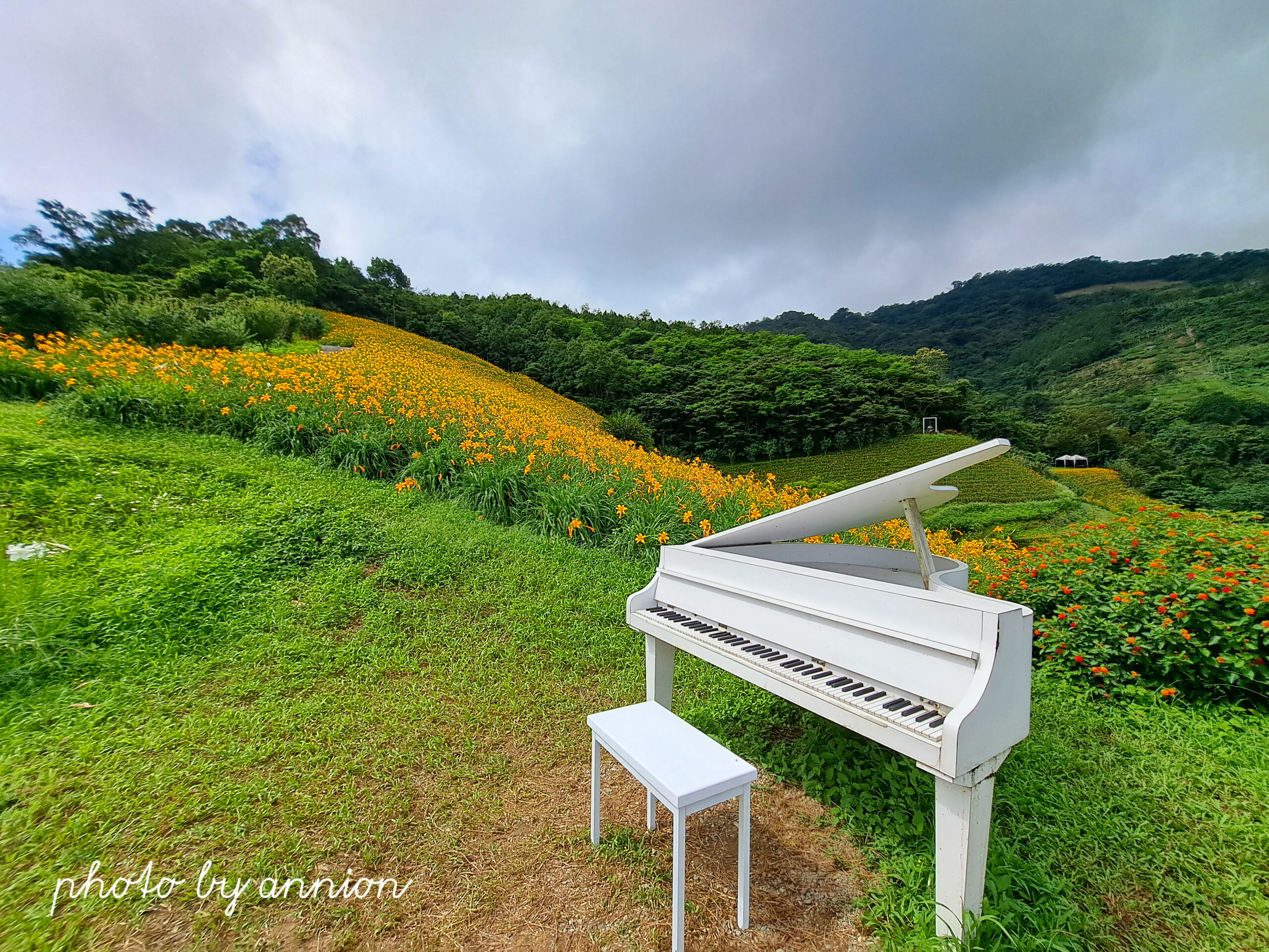 Taiwan Taitung Travel Guide | Must-Visit Attractions & Itinerary Tips