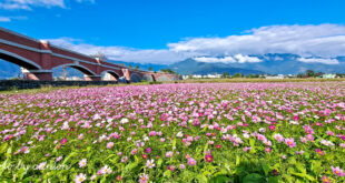 Taiwan Taitung Travel Guide | Must-Visit Attractions & Itinerary Tips