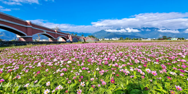 Taiwan Taitung Travel Guide | Must-Visit Attractions & Itinerary Tips