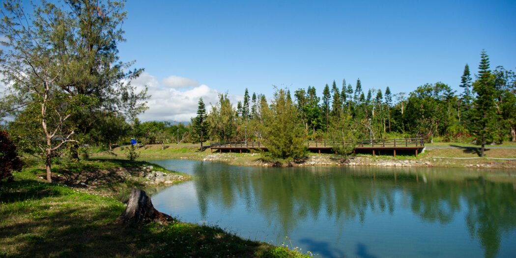 台北5日間旅行：超詳細な旅程プラン