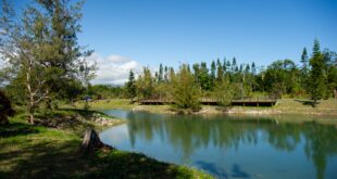 台北5日間旅行：超詳細な旅程プラン