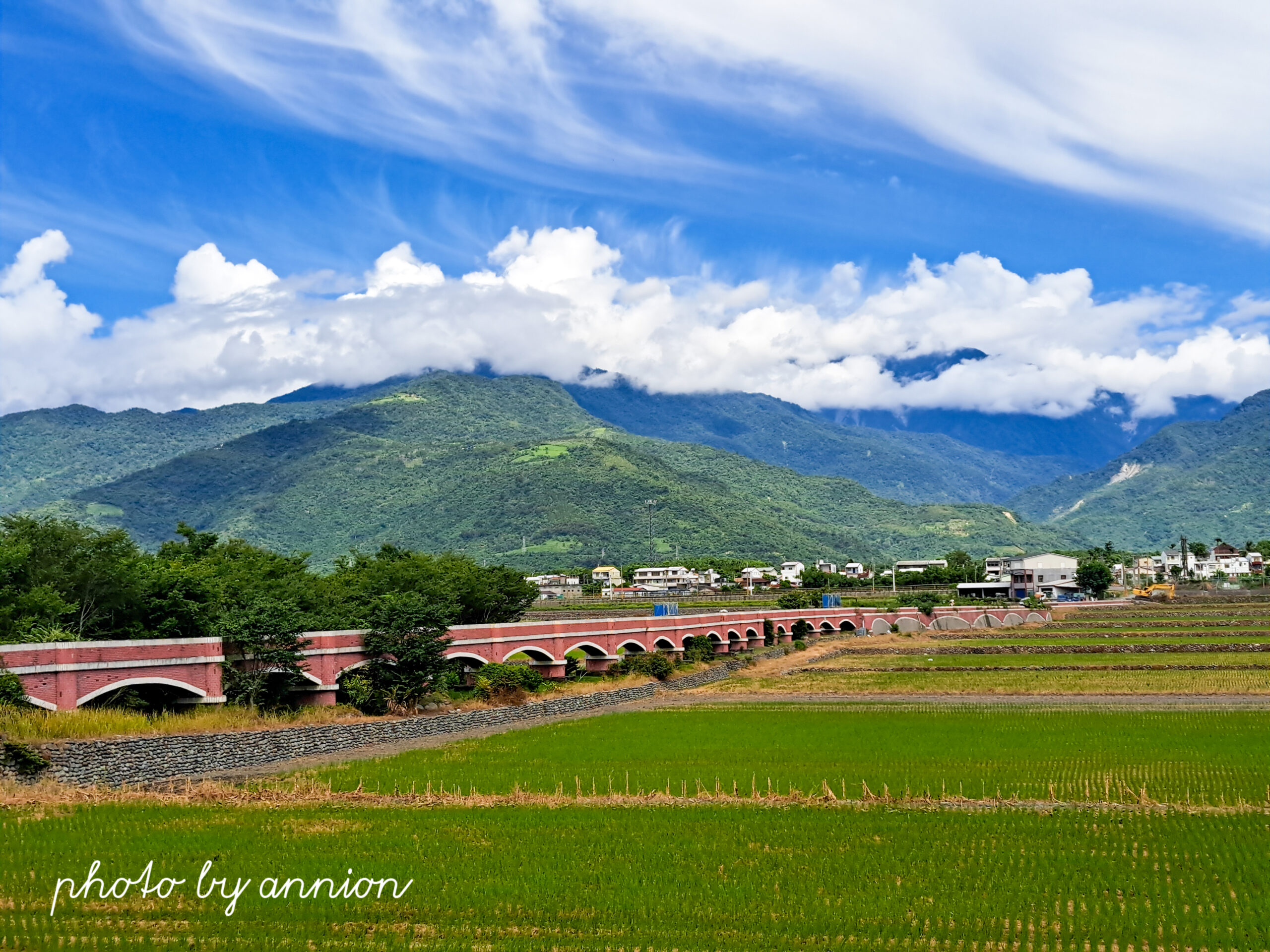 2026 台東鹿野景點推薦 Top12
