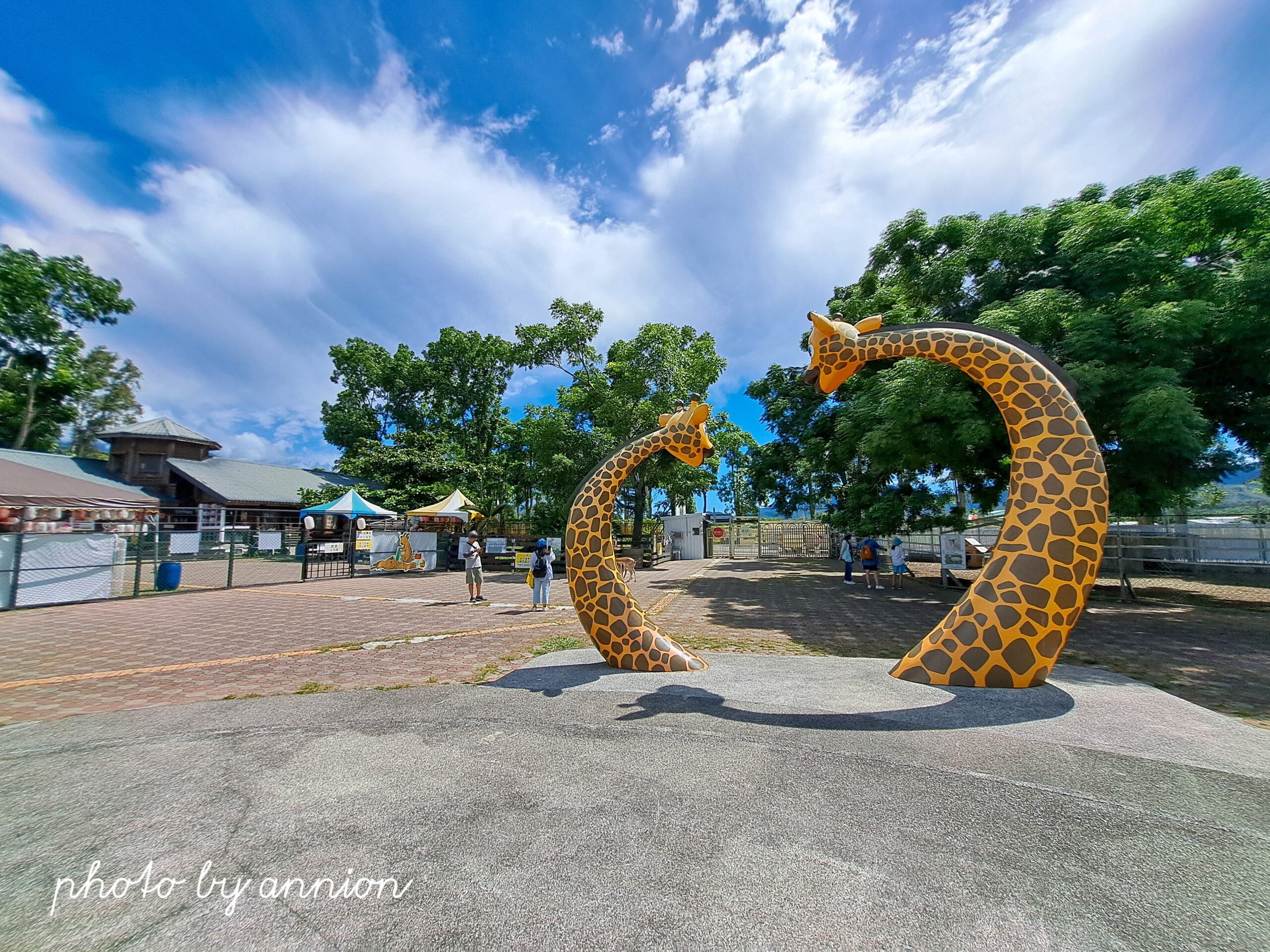 2026 台東鹿野景點推薦 Top12