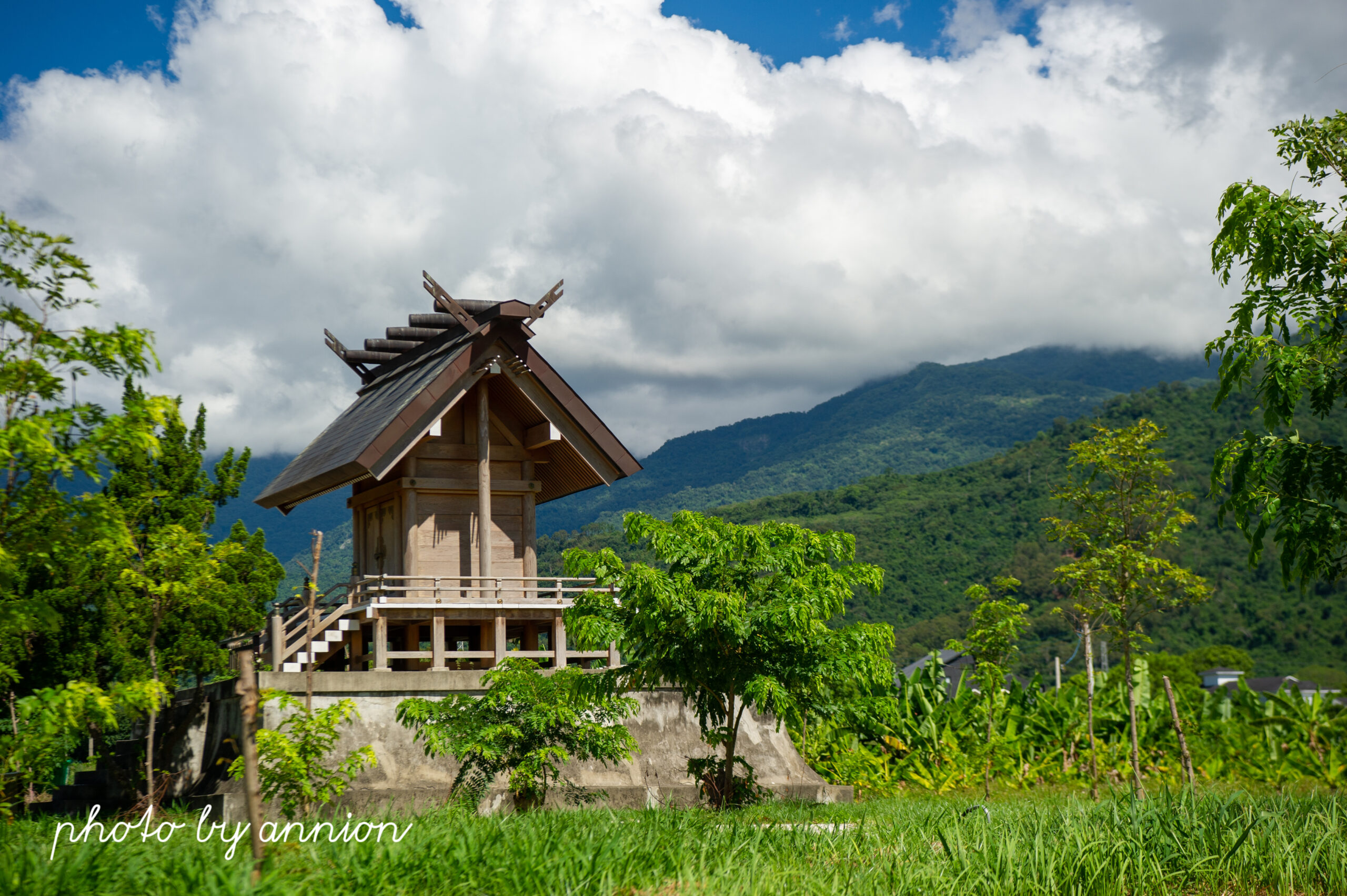 2026 台東鹿野景點推薦 Top12