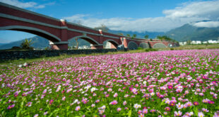 2026 台東鹿野景點推薦 Top12