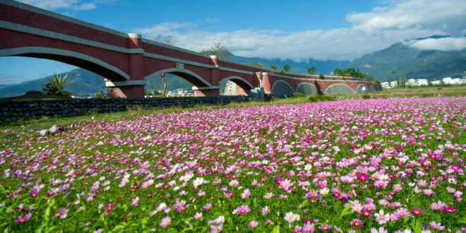 2026 台東鹿野景點推薦 Top12